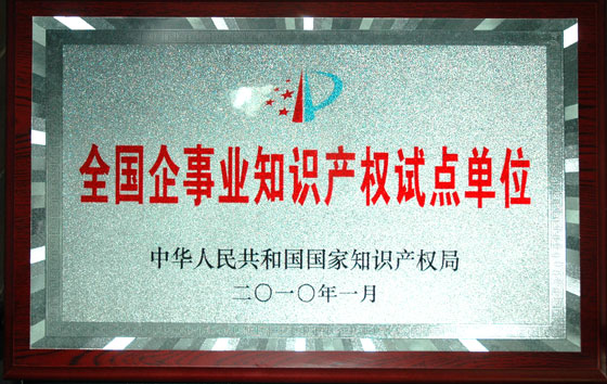 仁和集團(tuán)被確定為“全國(guó)企事業(yè)知識(shí)產(chǎn)權(quán)試點(diǎn)單位”